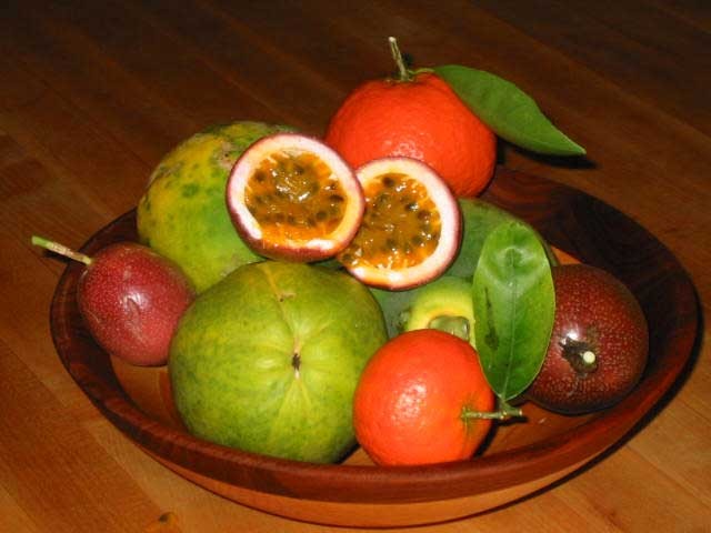 picture of tropical fruit by Isabella Gioia